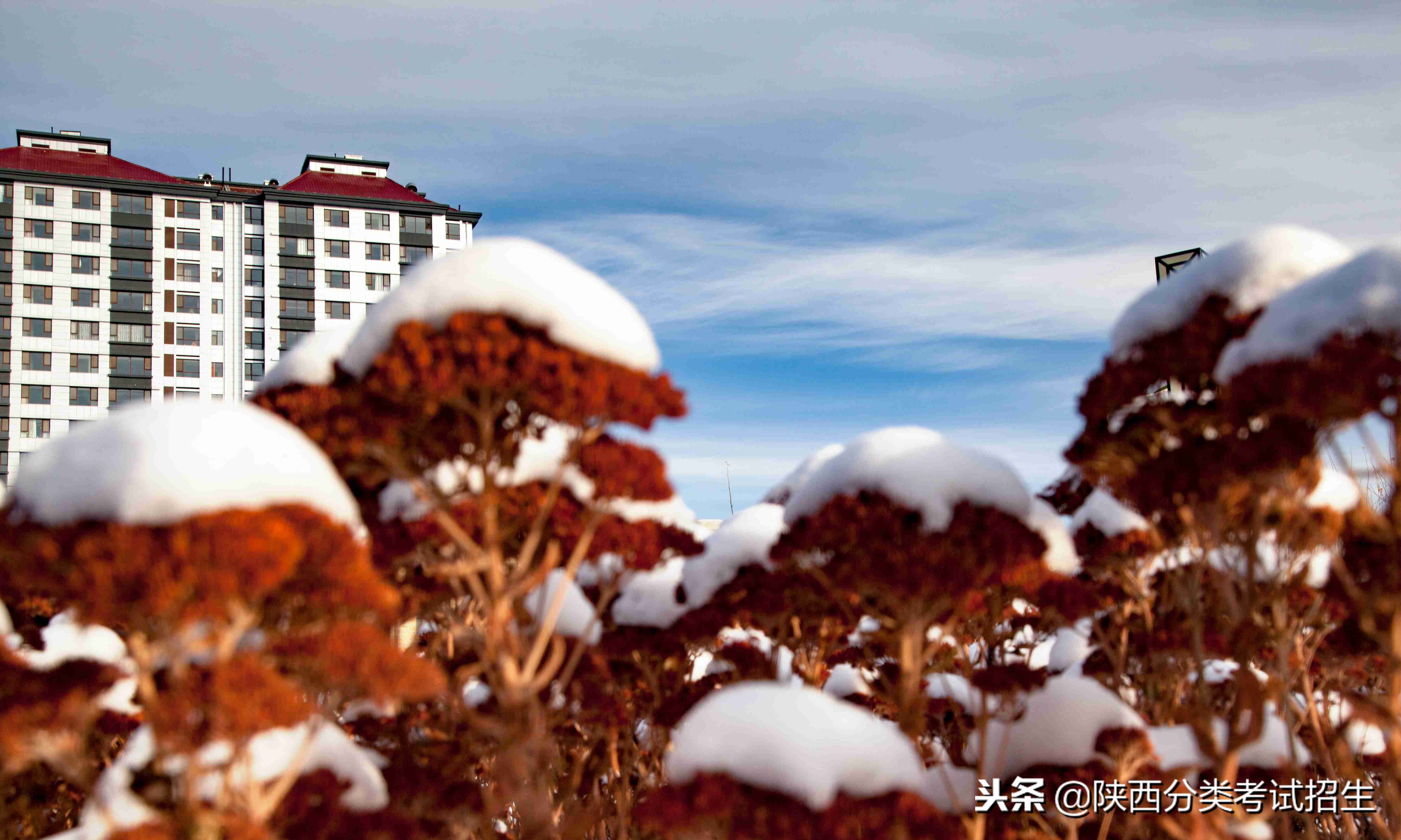 魅丽校园行之-榆林职业技术学院