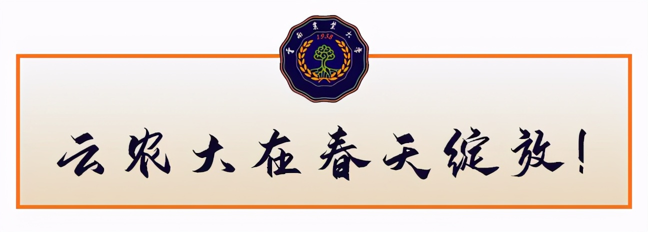 国家级一流！厉害了我的云南农大