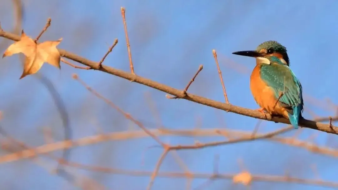 她从福建漳浦一中考入北大：利用零碎时间，多维度学习，建议收藏