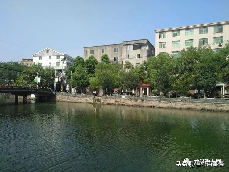 全面解读“望里”