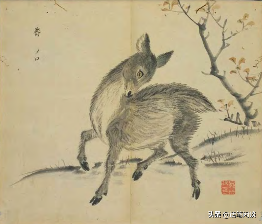 日本学者用心为《诗经》编了数百种图解，万物有灵，又美又细腻