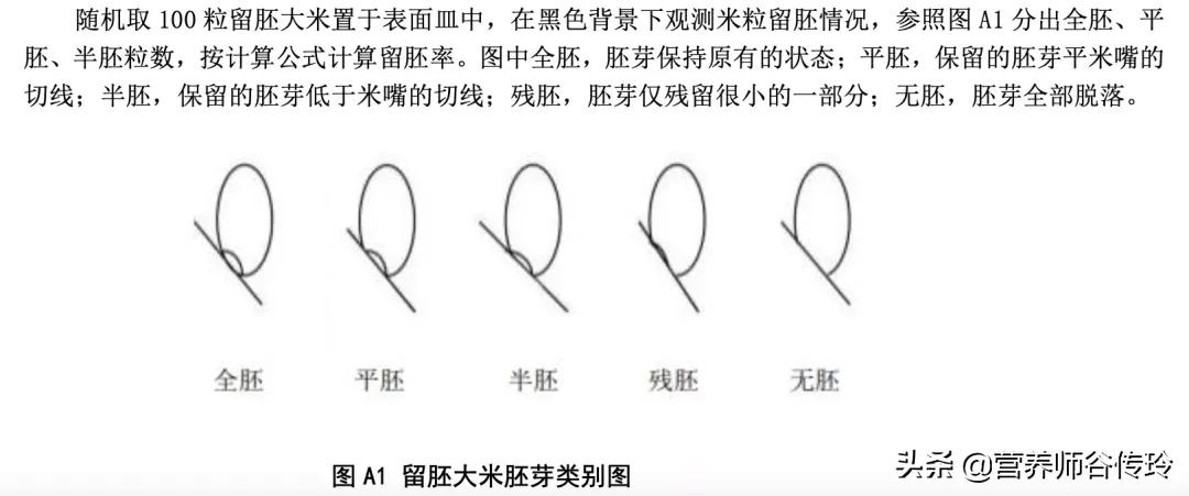 1粒胚芽米的营养≈128粒精白米?选胚芽米的2个关键点