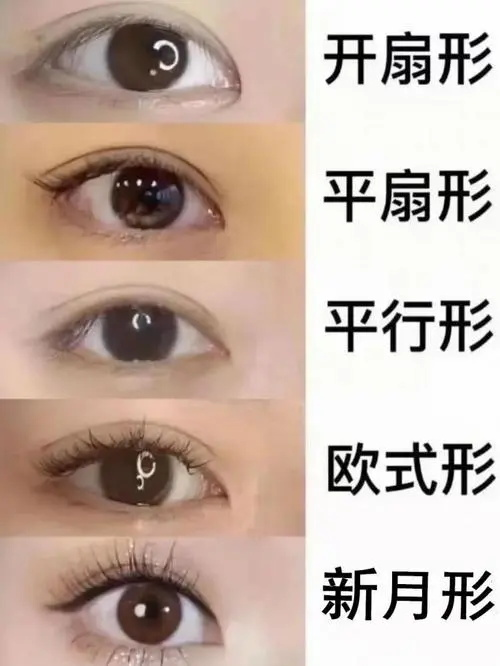 怎么判断丹凤眼适合哪种双眼皮双眼皮有什么类型看看你的脸型适合哪种