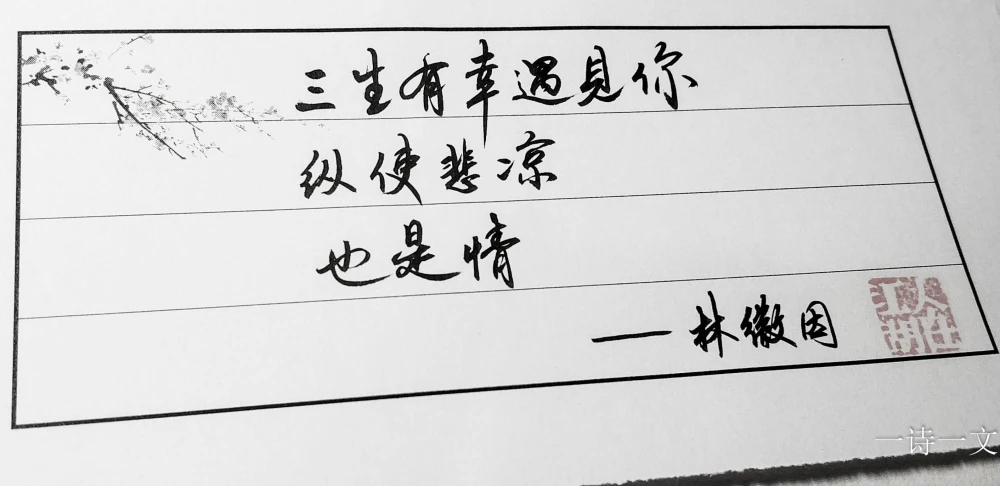 人海茫茫,你再难遇我