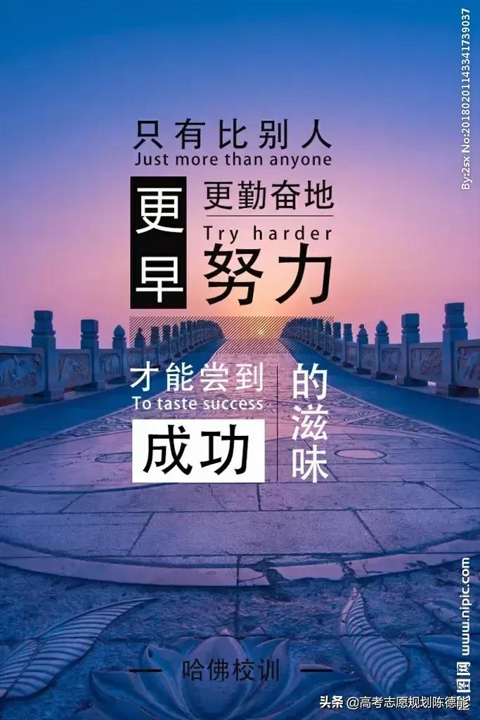 2020年云南省内公立院校二本理工类录取分析报告