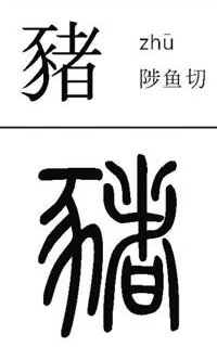 并不是"犭"反犬旁,而是"豕"旁,写作"豬",因为"豕"是猪的象形本义,"者"