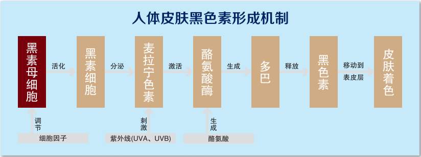 妈妈爱用的Olay玉兰油到底属于什么档次啊？