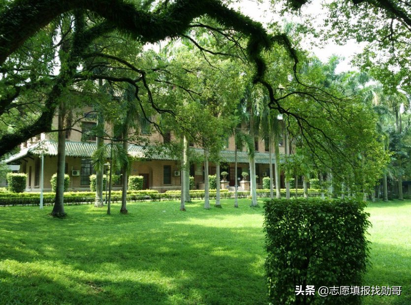 中山大学学科评估（这所大学）