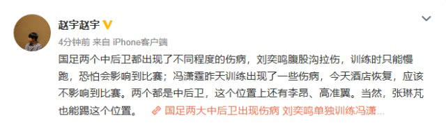 蓝月亮伤病令其烦忧(国足危险！两大主力中卫都出现伤病 大战泰国队用人有烦扰)