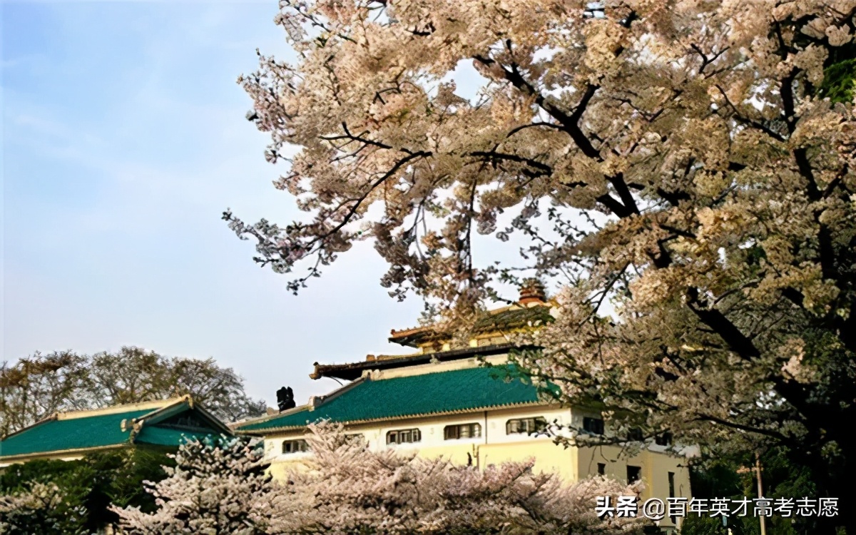 超震撼，看完别哭！揭秘中国高校豪华宿舍，你的学校上榜了吗？