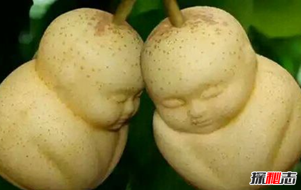 西游记中唐僧误会悟空的片段