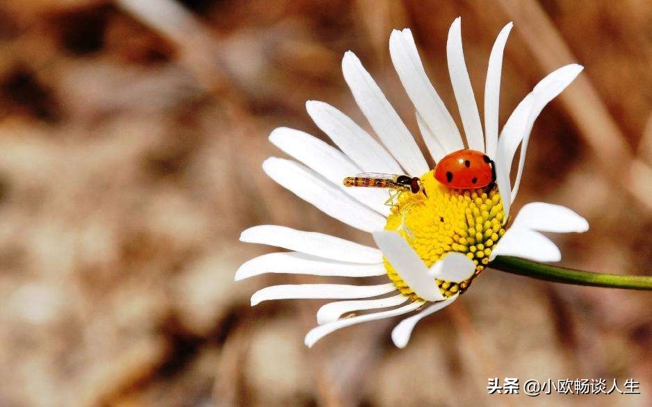 别让自己活得太累，放下沉重的包袱，轻松前行，无愧于心便好
