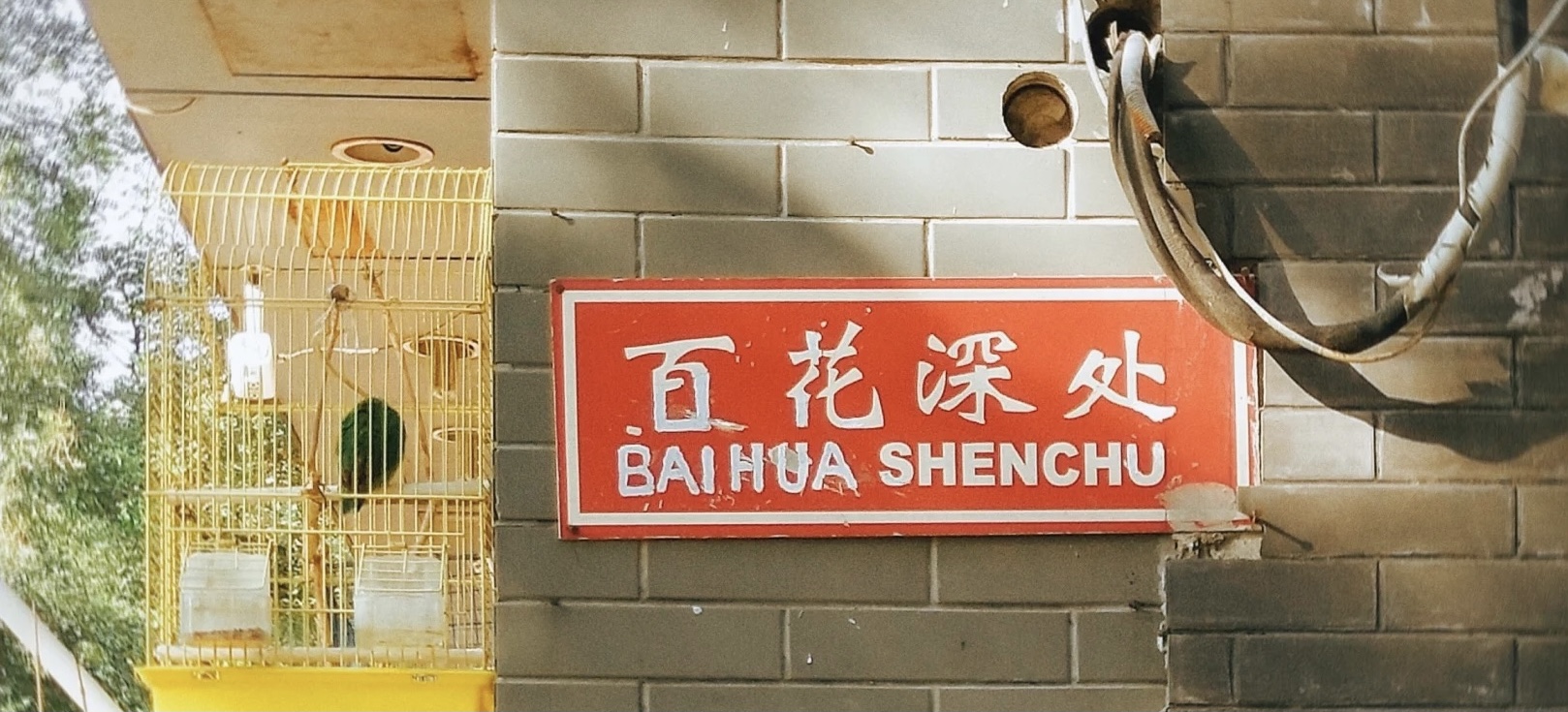 趣谈北京地名-植物篇