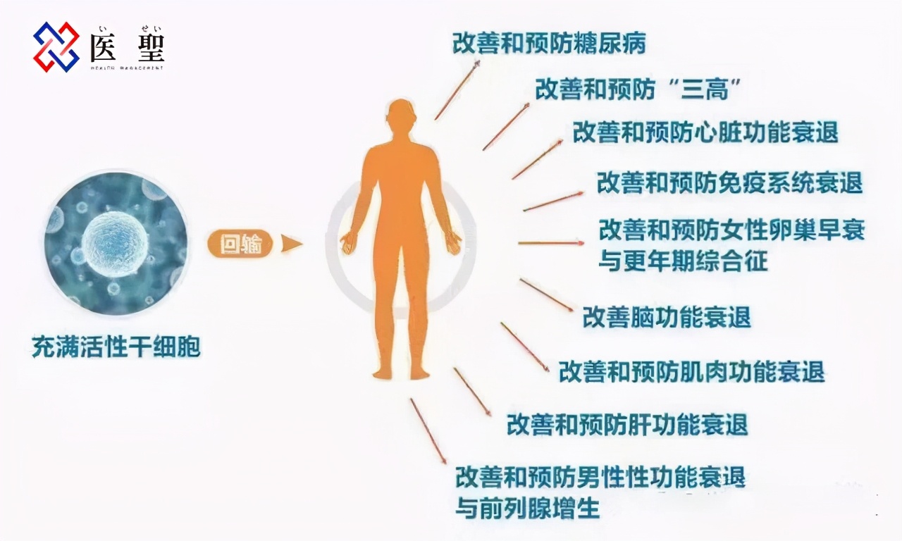 再生醫療|幹細胞治療痛風