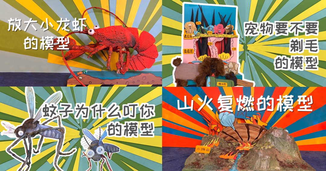 前央视主持人创业拍视频，做各种“奇怪”模型，引360万人围观点赞