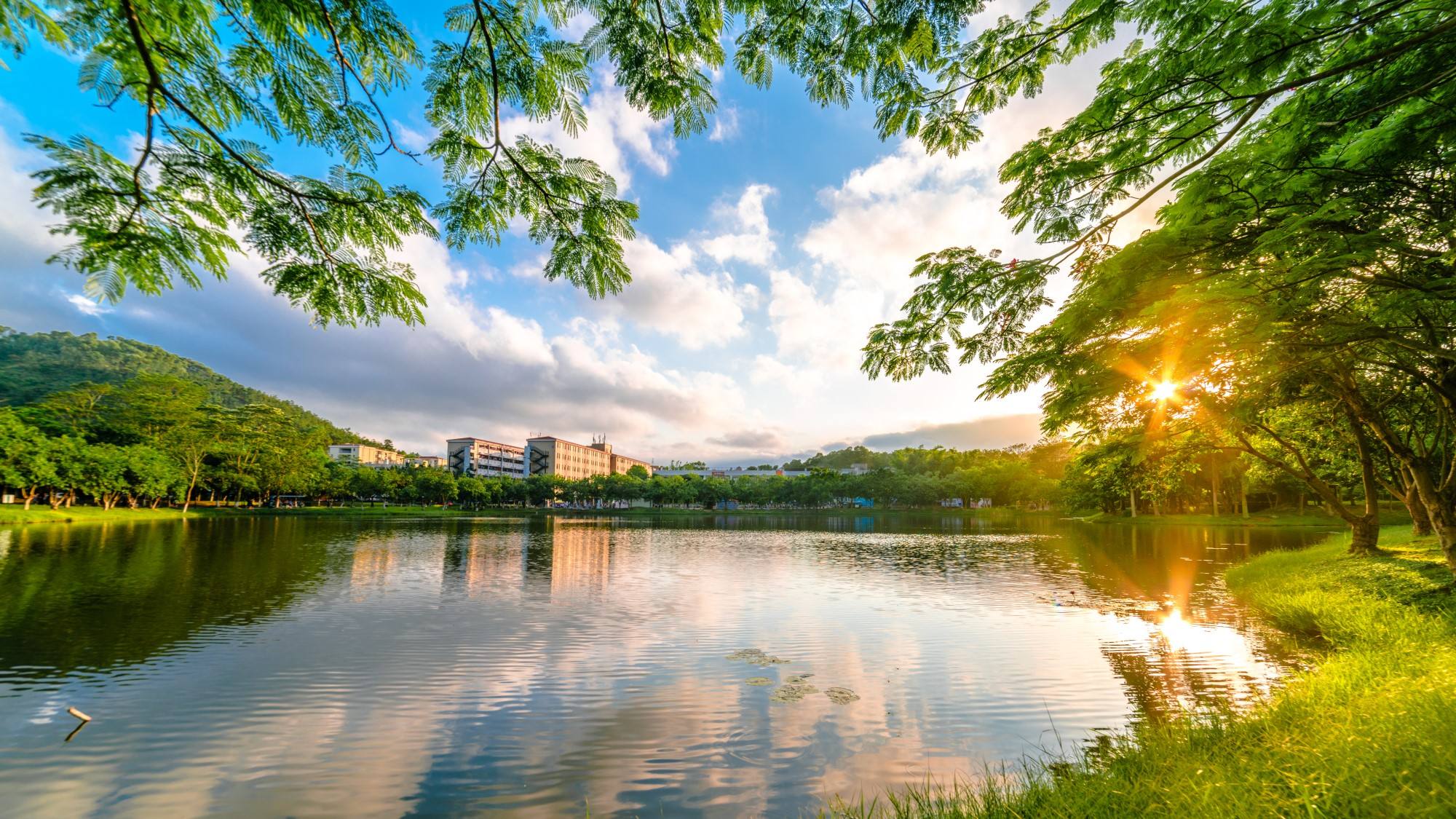 北师珠，中国高校界最强锦鲤