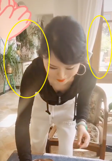 付笛生豪宅罕曝光，庭院种满花草装修古色古香，曾传住上亿四合院