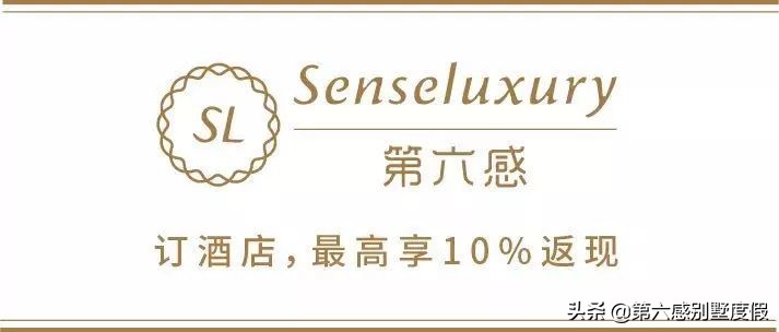 寓意克服障碍挑战极限（中国女排进击奥运会！去东京之前这些东西先了解一下）-华海博客