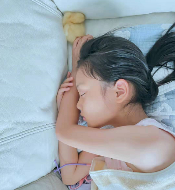 8岁甜馨颜值逆袭养鸭子上瘾,肤色向爸爸看齐