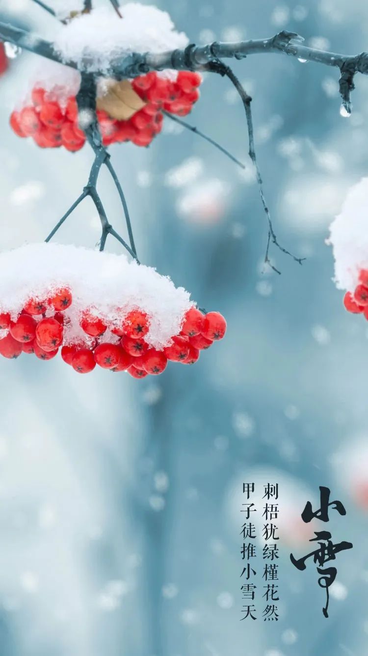 「美文美图」小雪，在最美的诗词里，遇见最美的小雪