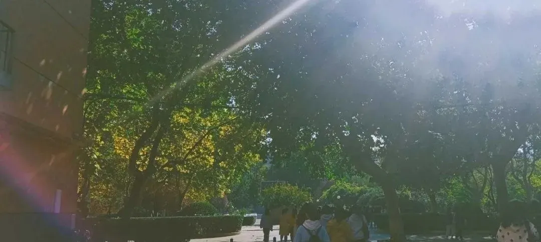 汇华学院进全国独立学院排名前十！今年首次专接本招生