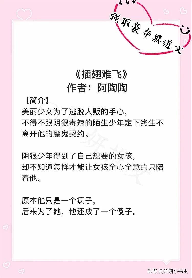 69第二本:《插翅难飞》