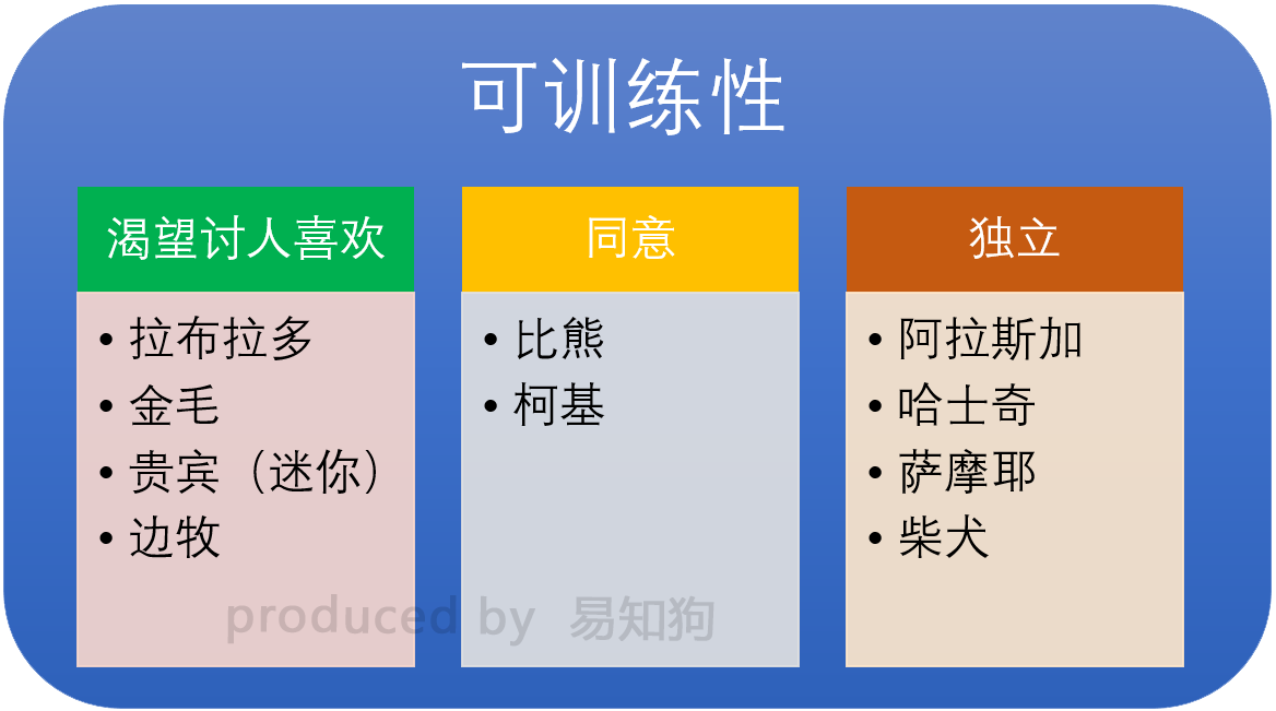 新手养狗必看：国内十大流行犬种横向对比