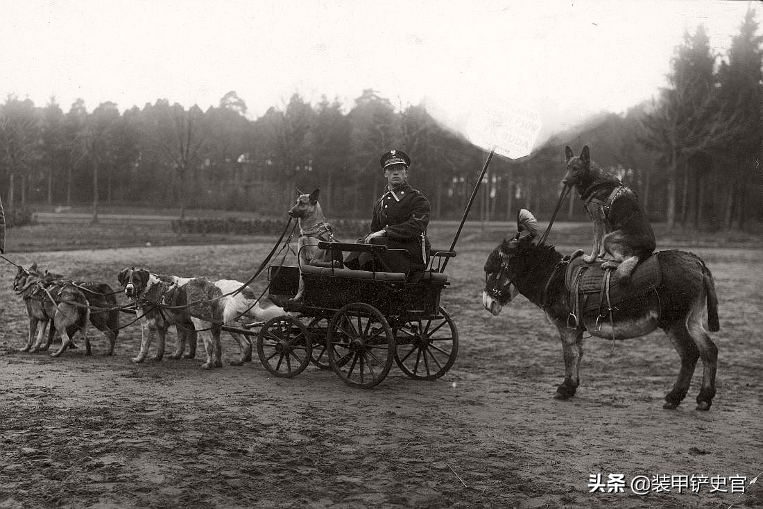 波兰国家队摆大巴(二战前的波兰百态：军队杂耍特技不输印度，首都摩登现代不输纽约)