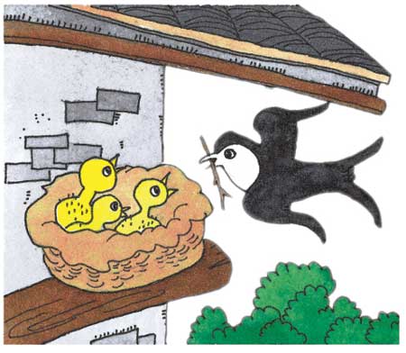燕子搭窝卡通图片图片