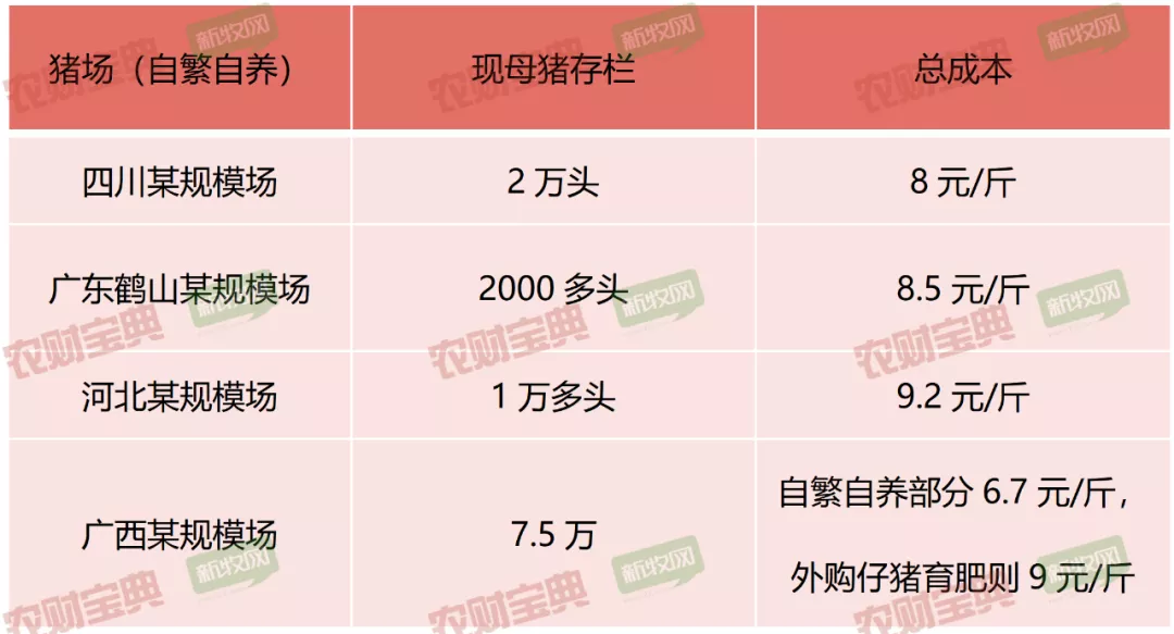 谁家养猪成本控制好？最低6.7元/斤，51%猪场养猪完全成本在7~9元/斤