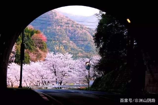 那些被抖音洗脑的句子