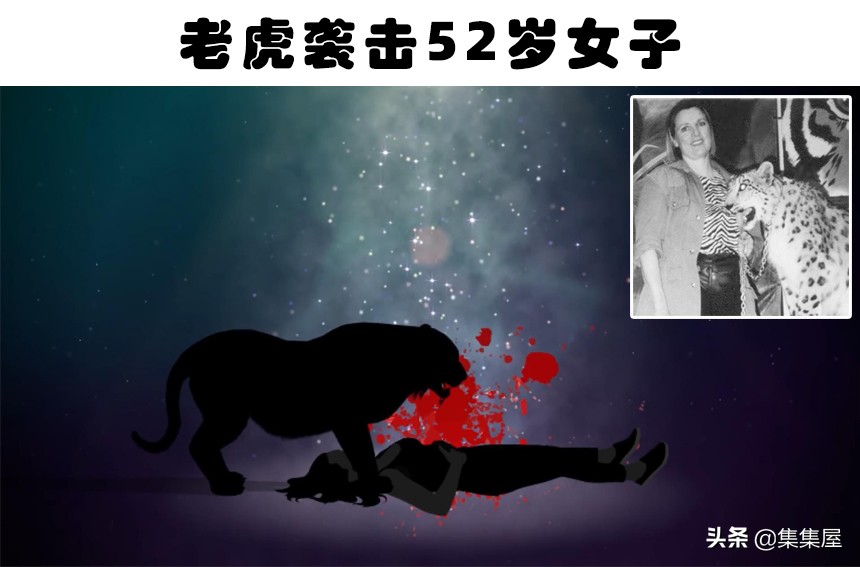 真实发生在世界上的8只杀害或吃掉主人的动物