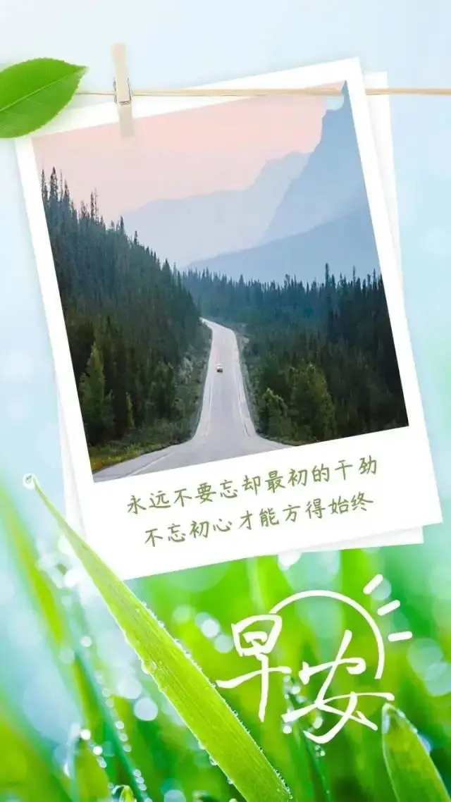 「2021.11.11」早安心语,正能量最新短句图片,双十一光棍节