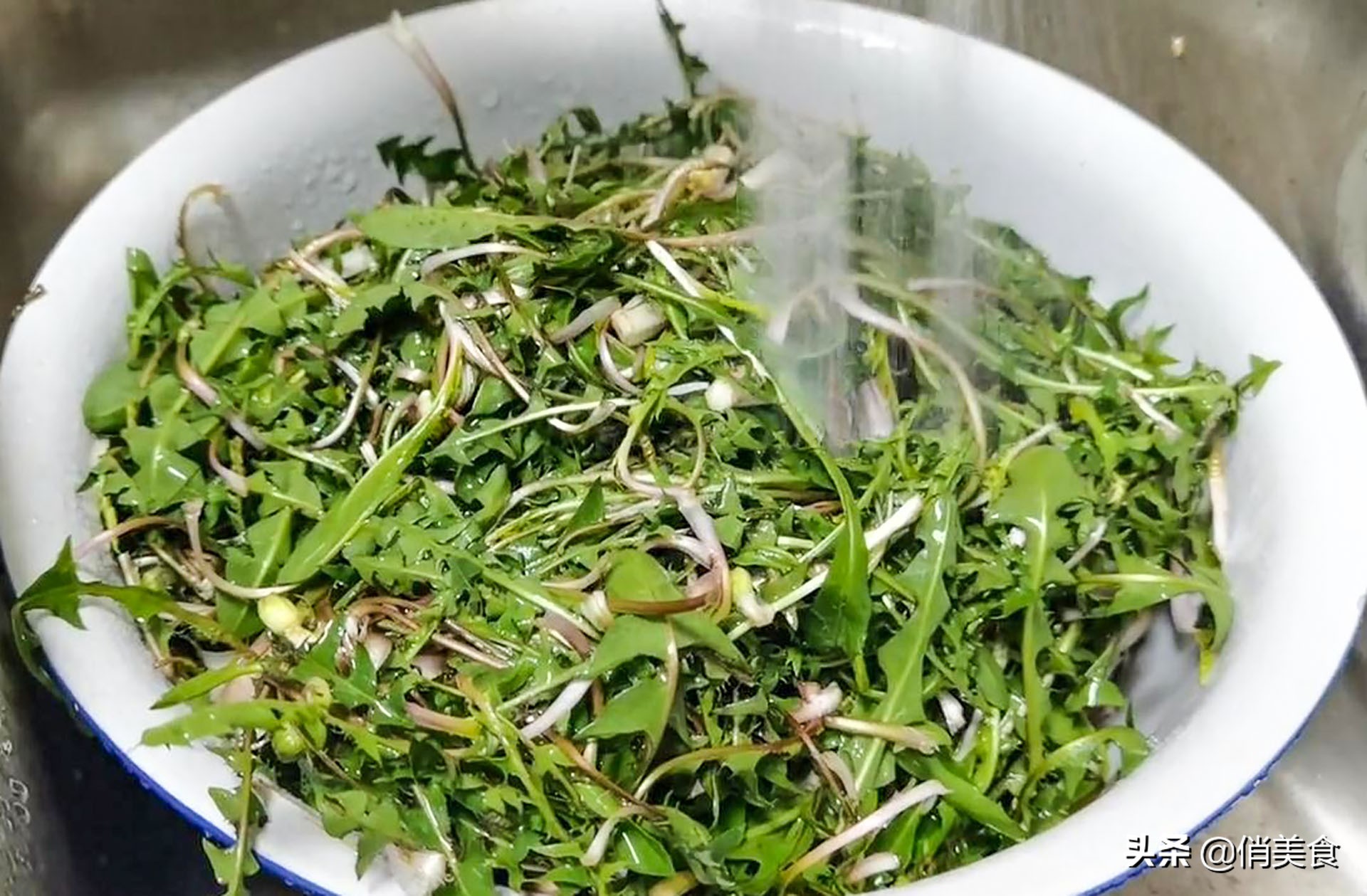 外婆私藏多年炒制蒲公英茶的经验，无苦涩只有茶香，放半年不会坏