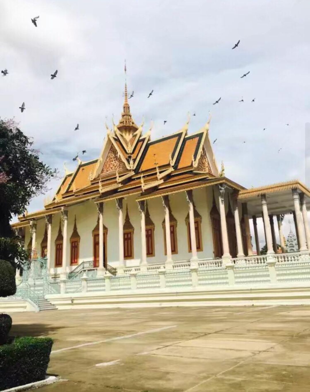 东南亚小国柬埔寨：非法性交易屡禁不止，未来该如何破局？