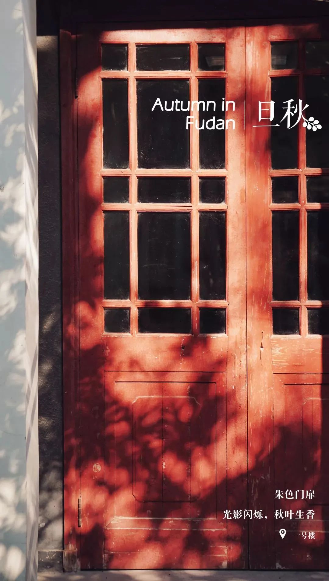 你的理想大学，终于被做成了手机壁纸