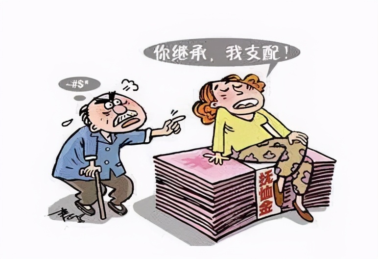 抚恤的性质是什么  抚恤金不是遗产插图1