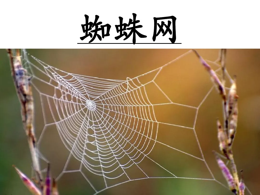 蜻蜓的蜻组词,蜻蜓的蜻组词两个字