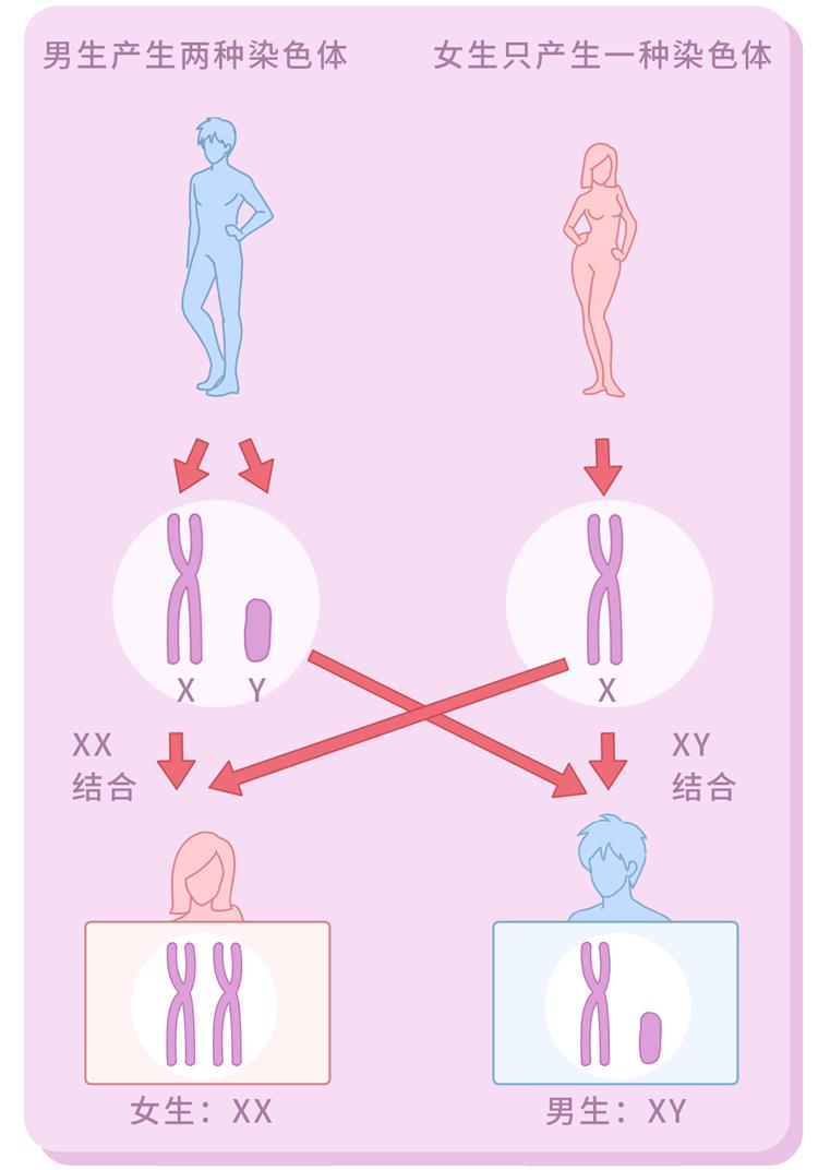 “转胎丸”是什么？父母以为可以女转男，其实是在制造双性婴儿