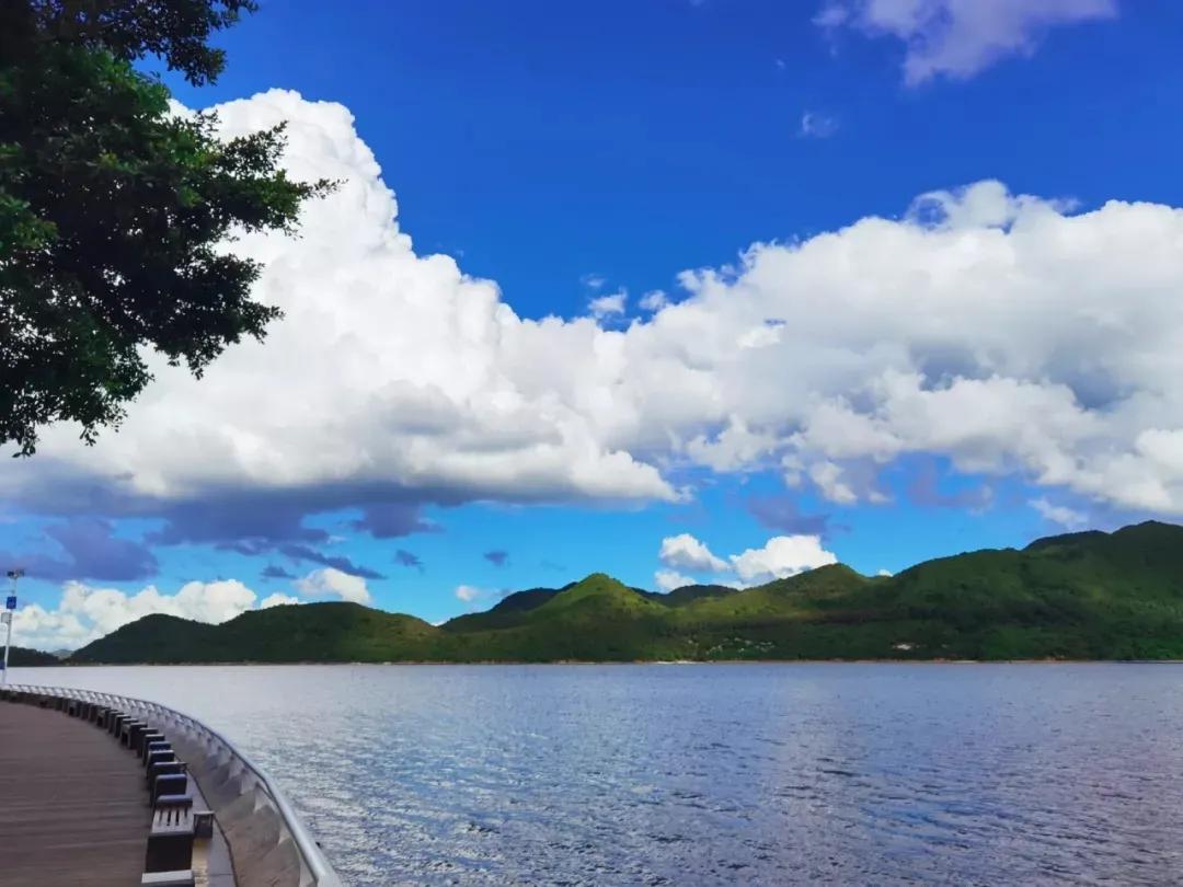 深圳网红打卡旅游景点（深圳网红打卡地）-第26张图片-科灵网