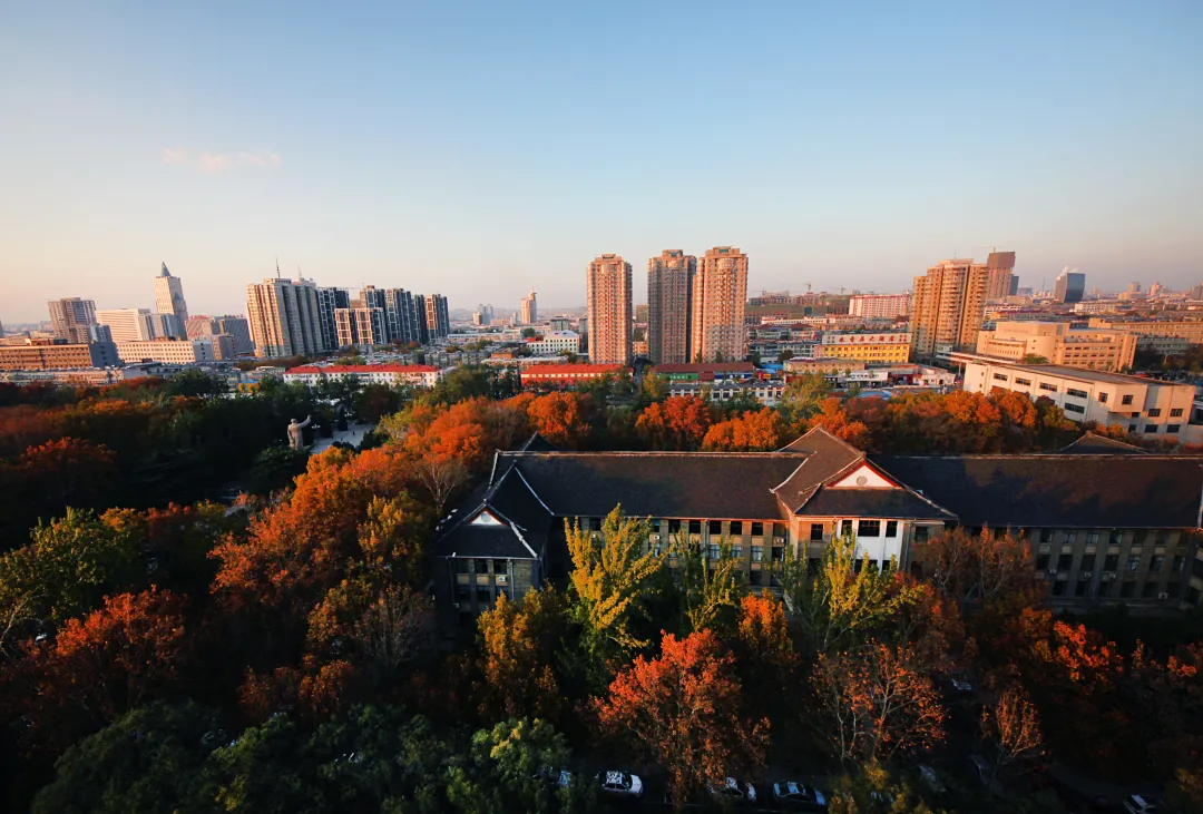 艺考生文化课短板问题被破解？这些大学艺术类专业录取分数超友好