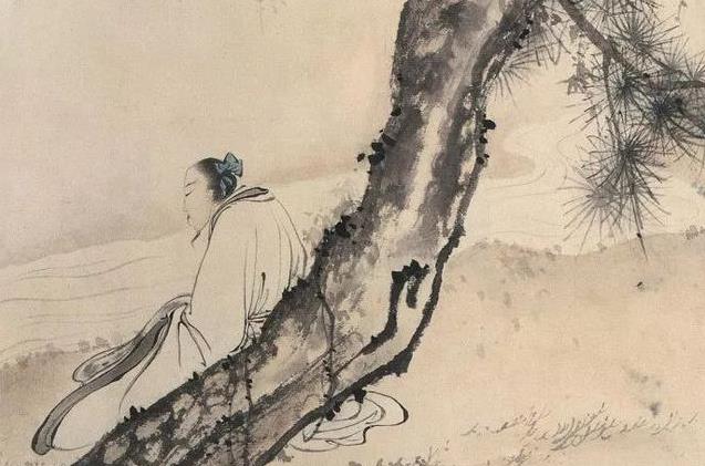 观宋填词97 洪皓被赵构称为南宋苏武 填词江梅引句句有来历