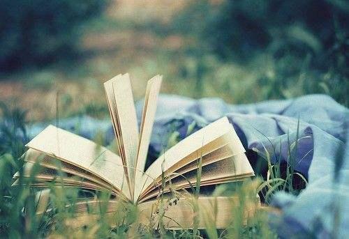 叶圣陶杯中学生作文赛获奖作品11篇: 篇篇都是满分作文的范文