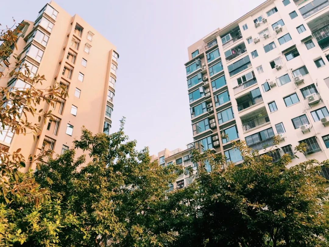 老破小一平10万+！我们走遍厦门18所名校，为你曝光最贵学区房！