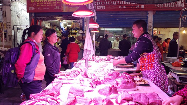 今日广西桂林的猪价「今日广西猪价」