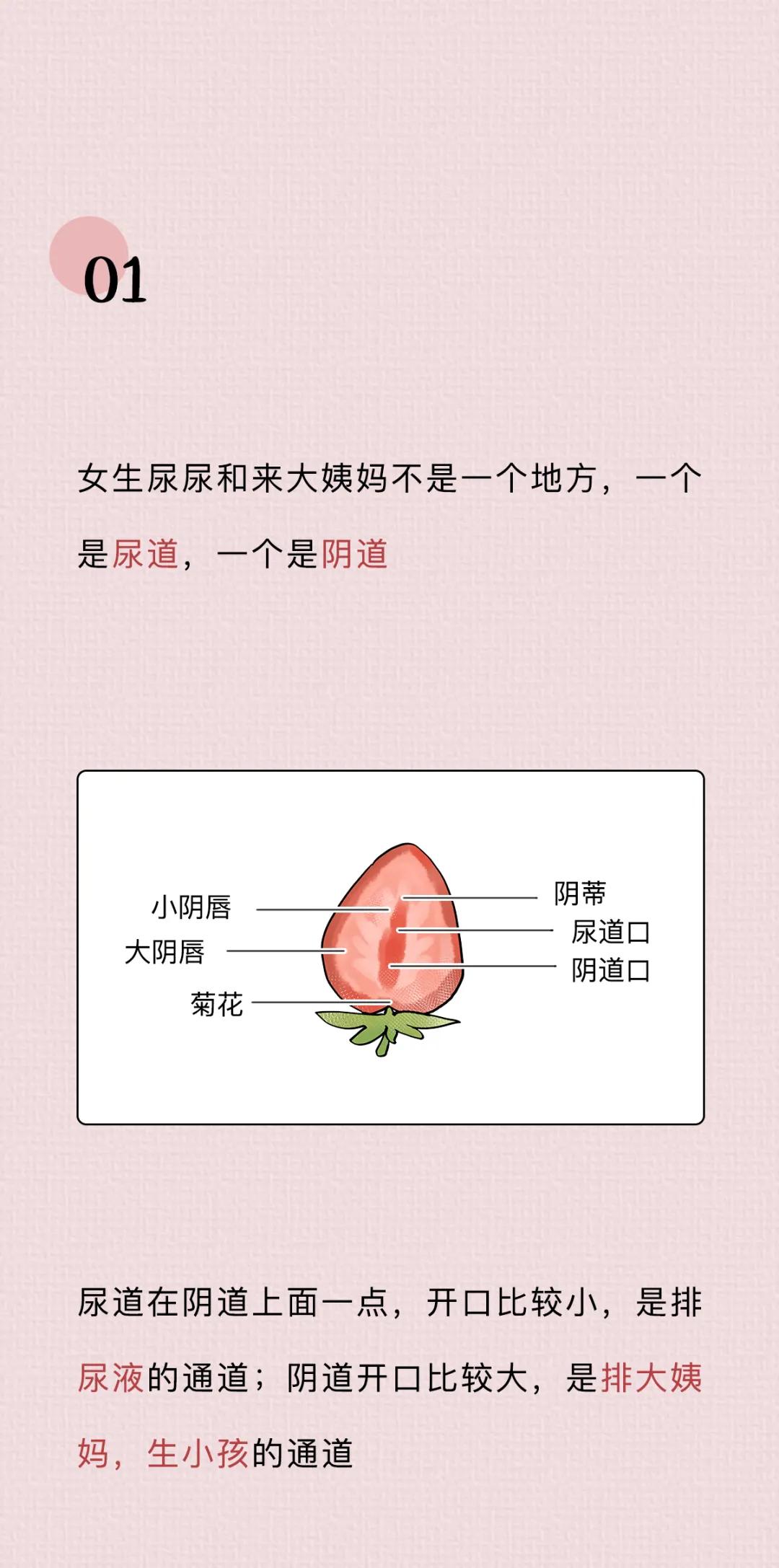 关于阴道，你必须知道的12个正经小知识