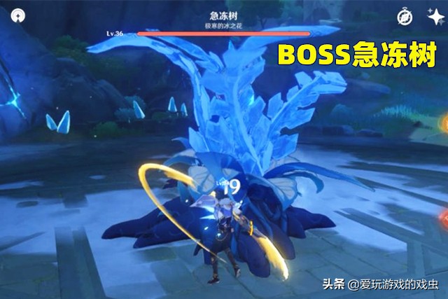 原神：如何越级击杀36级BOSS急冻树？教你一命通关