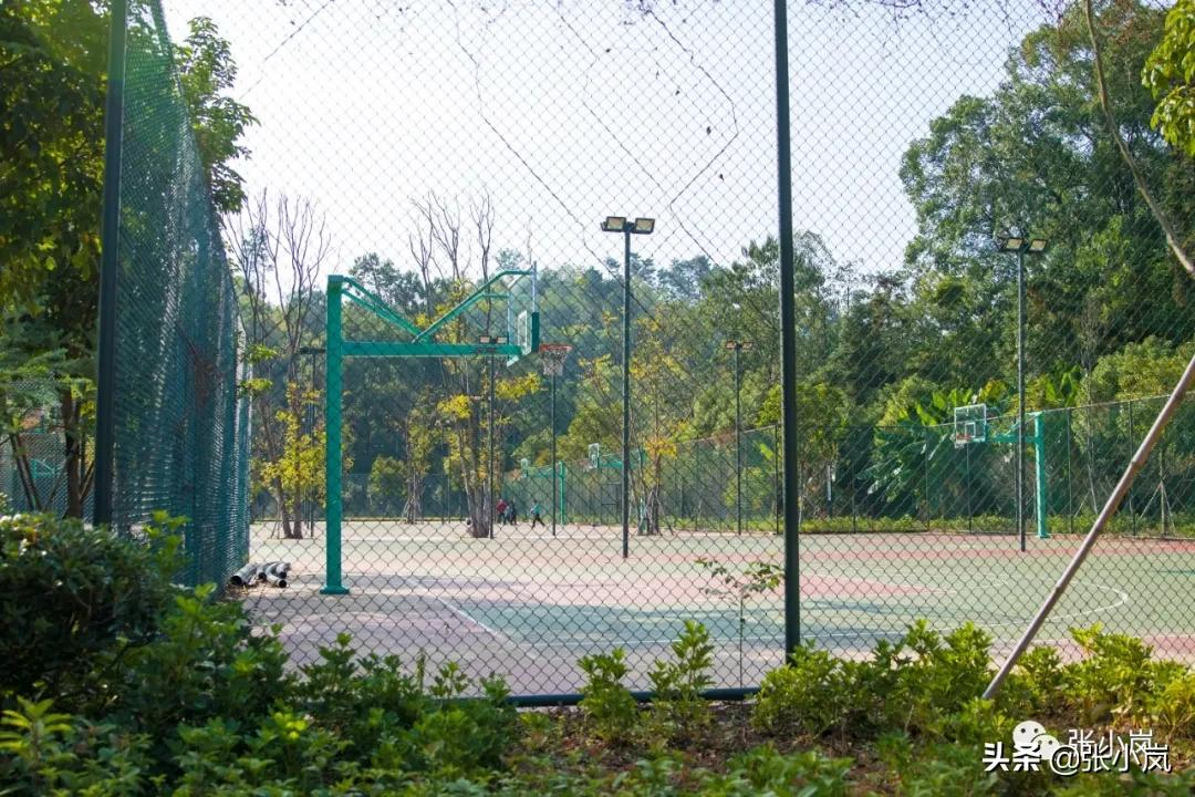 藏在韶关市中心森林里的儿童公园，大部分人都不知道，光速安排