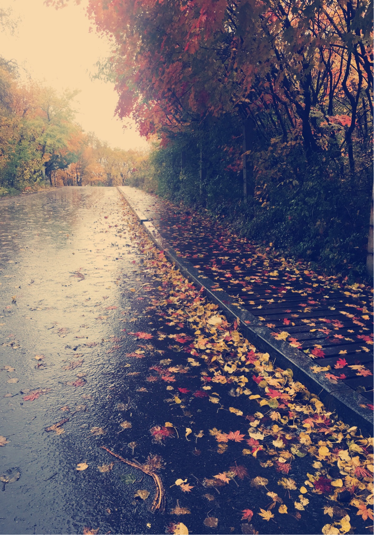 散文:懂得成全和更新自己,才是人生的庇护