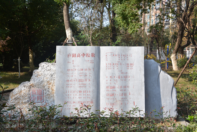 合肥一共多少省示范高中，哪些实力最强？（下篇）